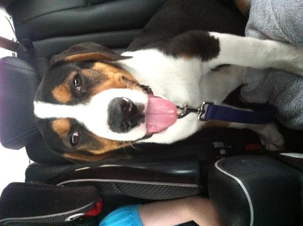 /Images/uploads/Humane Society of Utah/HSUCalendar/entries/847thumb.jpg